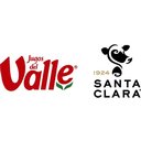 Jugos del Valle company logo