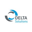 Delta Solutions LLC company logo