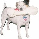 Direct Hire company logo