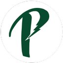 Perkin Electrical Services LLC company logo