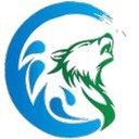 Wolf Pack Residential Cleaners company logo