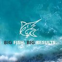 Big Marlin Group company logo