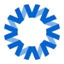 National Vision company logo