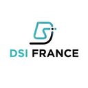 DSI FRANCE company logo