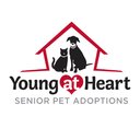 Young at Heart Senior Pet Adoptions company logo