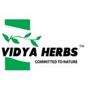 Vidya Herbs Pvt Ltd company logo