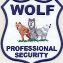 Wolf Professional Security LLC company logo