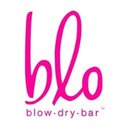 Blo Danforth company logo