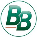 BB Assurantie Service BV company logo