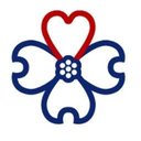 Navion Senior Solutions company logo