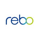 Rebo Lighting &amp; Electronics, LLC company logo