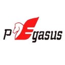 株式会社ペガサスグローバルエクスプレス company logo