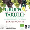 gruppo tarulli op company logo
