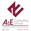A&amp;E Consulting Group company logo