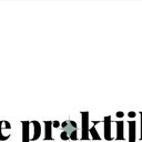 De Praktijkregelaar company logo