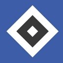 HSV Fußball AG & Co. KGaA company logo