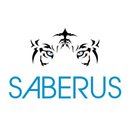 Saberus Inc company logo