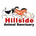 Hillside Animal Sanctuary, Frettenham, Norwich, NR12 7LT company logo