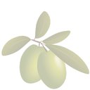 The Simple Greek company logo