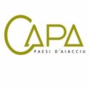 CAPA company logo