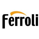 Ferroli S.p.A company logo