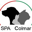 SPA de Colmar company logo