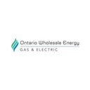 ONIT ENERGY LTD company logo