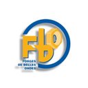 fbo company logo