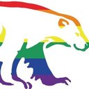 BEAR Scotland Limited company logo