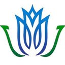 Blue Rose Consulting Group, Inc. company logo