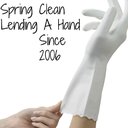 SPRING CLEAN company logo