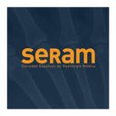 SERAM company logo