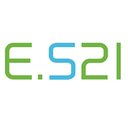 e.systeme21 GmbH company logo