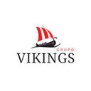 Vikings Sistema de Limpeza company logo