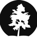 Precision Tree Services Ltd company logo