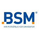 BSM GmbH company logo