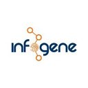 INFOGENE company logo
