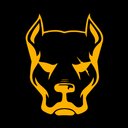 Cerberus Auto Styling company logo