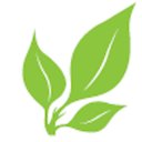 Para Space Landscaping company logo