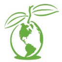 Linguava company logo