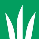 DLF USA Inc. company logo