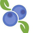 Blueberry Care and Nursing Services company logo