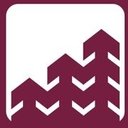 Banco Pine company logo