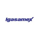 IGASAMEX company logo