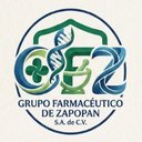 GFZ company logo