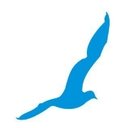 Seagull Advertising company logo