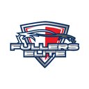 Fuller Elite Trucking LLC company logo