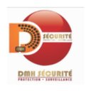 DMH SECURITE company logo