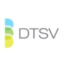 DTSV Inc company logo