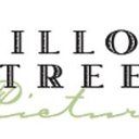 Willow Street Pictures company logo